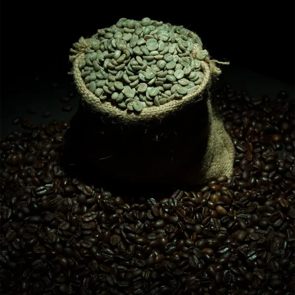 A jute bag filled with Indian Origin Green Beans surrounded by roasted coffee beans